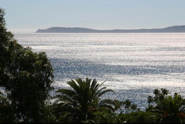 Residence Le Paradou Le Le Rayol-Canadel-sur-Mer エクステリア 写真